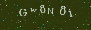 Validation image